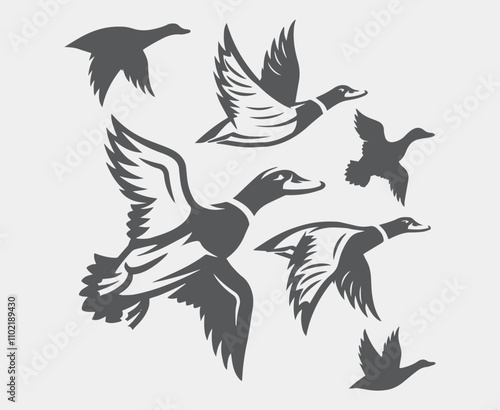 Set of of birds and flowers, line drawings, ink drawing, hand drawn illustration, Vector
