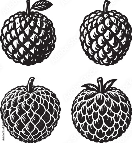 Vintage botanical illustration, detailed woodcut