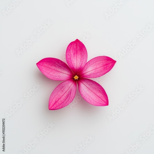 Isolated Vibrant Tropical Flower on Soft Surface Showcasing Stunning Pink Petals and Unique Structure