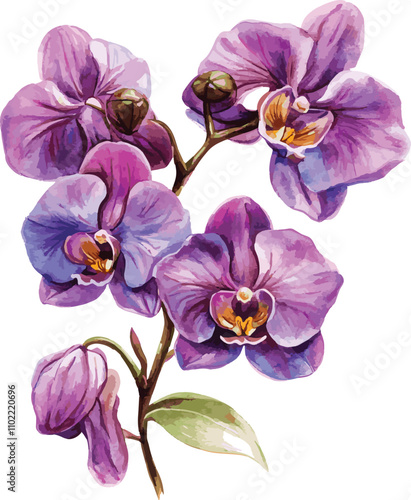 orchid flower watercolor vector illustration isolated white background. perfect for wedding invitation card