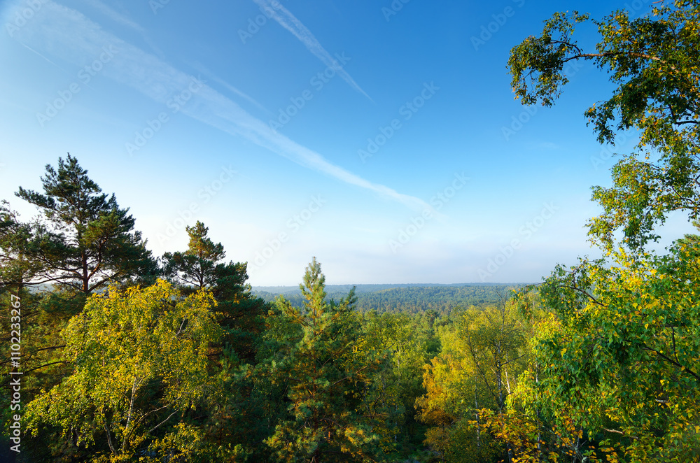 Point of view of the Cuvier Châtillon rock in Fontainebleau forest