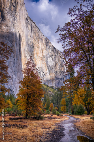 Yosemite's winter magic: granite peaks, snowy vistas, and serene landscapes.