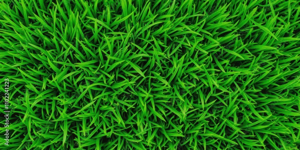 Lush and vibrant green grass texture background, lawn, cover Lush and vibrant green grass texture background, lawn, cover