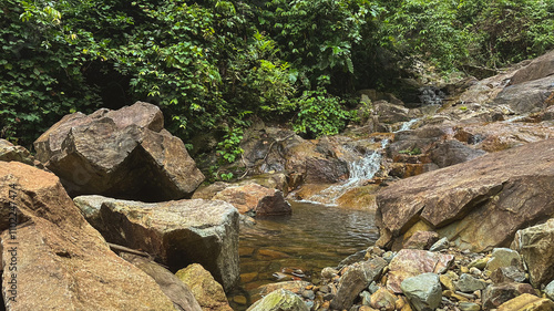 Stream running through rocky riverbank with waterfall and lush green forest background