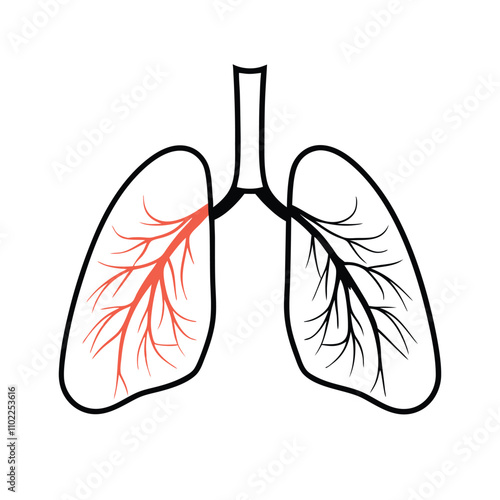 a black and white line drawing of a pair of lungs. The lungs are shown in a symmetrical pattern,