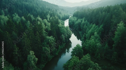 Winding river flows through lush green forest under soft light of dawn in mountainous landscape