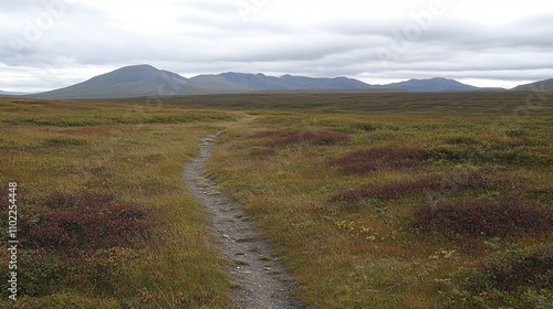 Rugged Tundra Landscape with Winding Trail and Distant Mountains