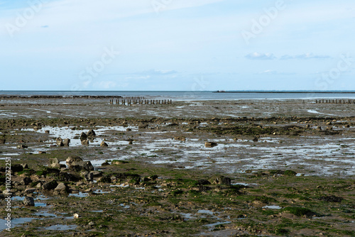 Passage du Gois, Barbâtre, Ile de Noirmoutier, Beauvoir sur Mer, Vendée, Pays de la Loire, 85, France photo