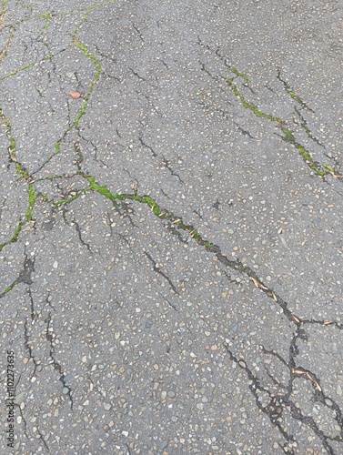 Cracks in the road. Old road surface