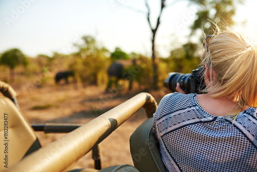 Fototapeta Naklejka Na Ścianę i Meble -  Woman, photography and elephants in nature on safari, camera and travel journalist for ecosystem. Female person, back and photographer in jungle for conversation, capture wildlife and adventure