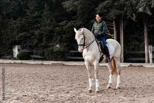 Equestrian Riding Horse in Forest Arena