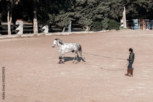 Horse training in an outdoor arena with a handler