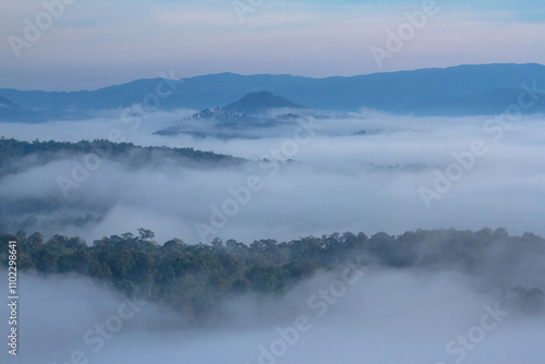 fog in the mountains