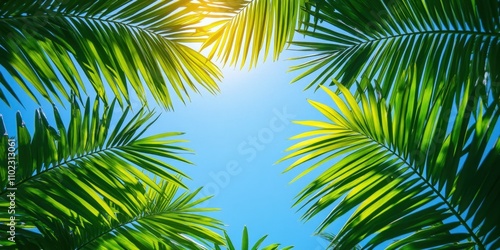 Brightly lit tropical palm trees against a clear blue sky detailed leaves daytime natural light minimalistic and vibrant tropical design