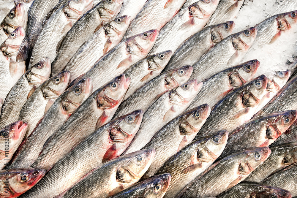 Obraz premium whole fresh chilled raw fish on ice at supermarket