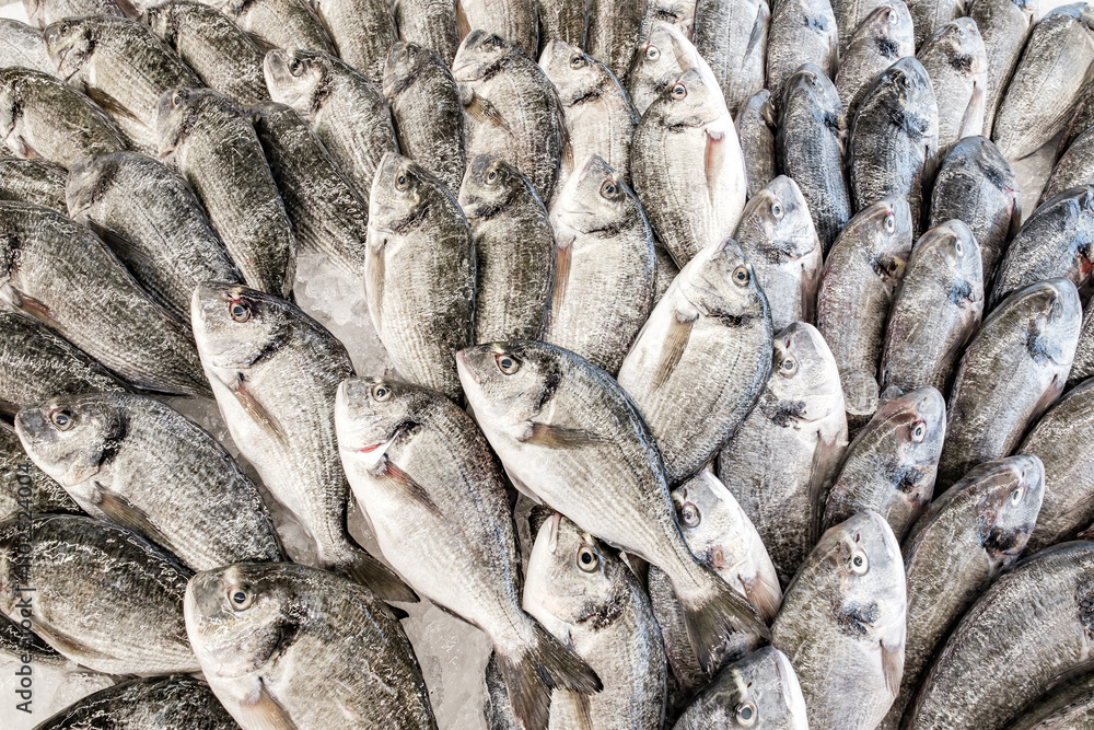 Obraz premium raw fresh fish on ice is sold in supermarket