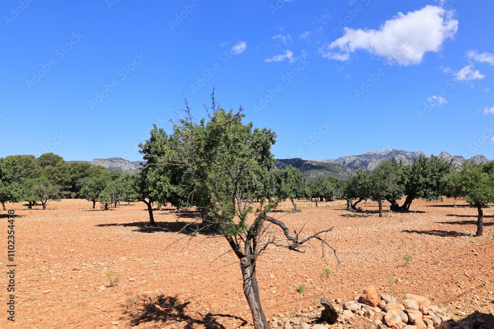Blick auf die Gebirgslandschaft Mallorcas zwischen Palma und Soller Blick auf die Gebirgslandschaft Mallorcas zwischen Palma und Soller