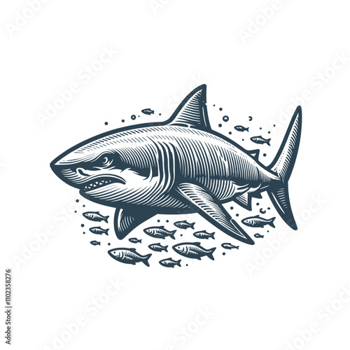 Monochrome engraved shark isolated vector illustration