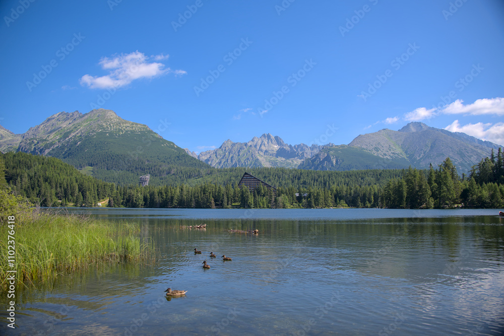 Serene mountain lake surrounded by lush forest and dramatic peaks with ducks swimming in the foreground. Serene mountain lake surrounded by lush forest and dramatic peaks with ducks swimming in the foreground.