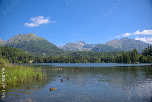 Serene mountain lake surrounded by lush forest and dramatic peaks with ducks swimming in the foreground.