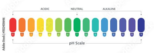 vector ph scale. ph scale on white background. acidic, neutral, alkaline ph scale