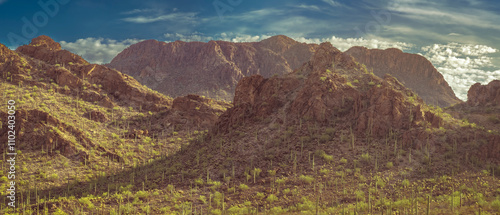 A tranquil desert mountain scene with Saguaro Cacti bathed in sunlight with scattered clouds in a blue sky. Majestic and peaceful, this landscape captures the essence of untouched natural beauty.