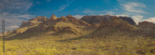 A panoramic view of a desert landscape featuring rugged mountains under a blue sky. The scenery includes Saguaro cacti and arid vegetation illuminated by warm sunlight.