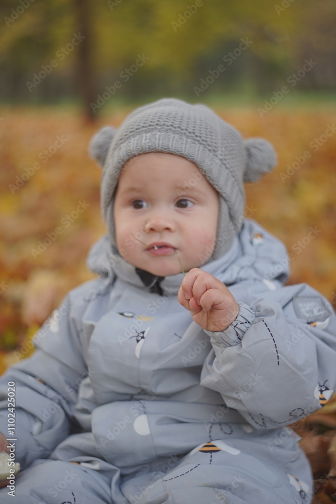 Little boy playing in autumn park. Child on yellow fallen leaves on a sunny autumn day. Little boy playing in autumn park. Child on yellow fallen leaves on a sunny autumn day.