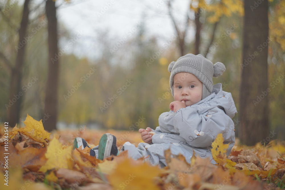 Little boy playing in autumn park. Child on yellow fallen leaves on a sunny autumn day. Little boy playing in autumn park. Child on yellow fallen leaves on a sunny autumn day.