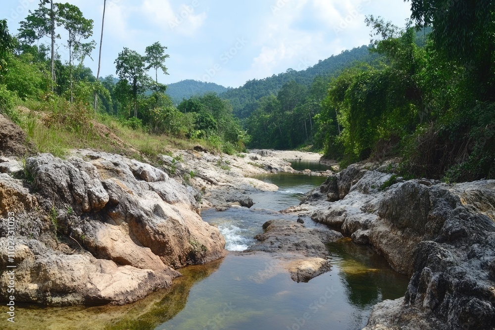 Tranquil Flowing Stream Surrounded by Rocks in Thailand's Lush Siam Forest Tranquil Flowing Stream Surrounded by Rocks in Thailand's Lush Siam Forest