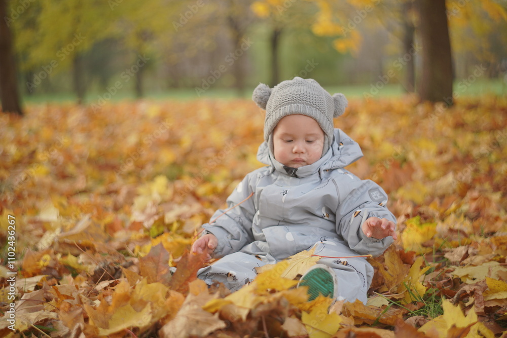 Little boy playing in autumn park. Child on yellow fallen leaves on a sunny autumn day. Little boy playing in autumn park. Child on yellow fallen leaves on a sunny autumn day.