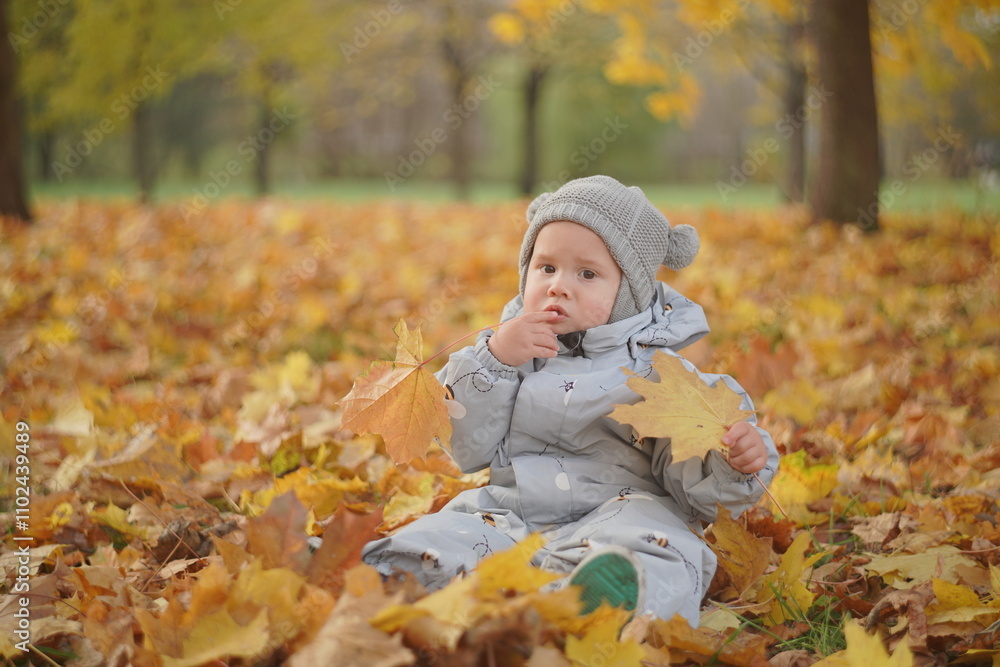 Little boy playing in autumn park. Child on yellow fallen leaves on a sunny autumn day. Little boy playing in autumn park. Child on yellow fallen leaves on a sunny autumn day.