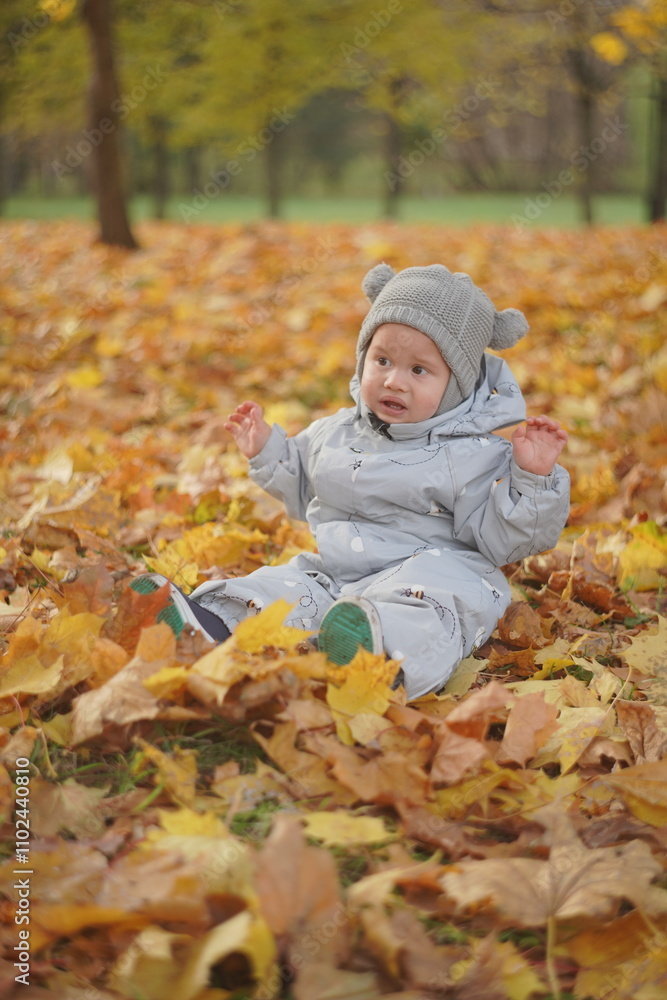 Little boy playing in autumn park. Child on yellow fallen leaves on a sunny autumn day. Little boy playing in autumn park. Child on yellow fallen leaves on a sunny autumn day.