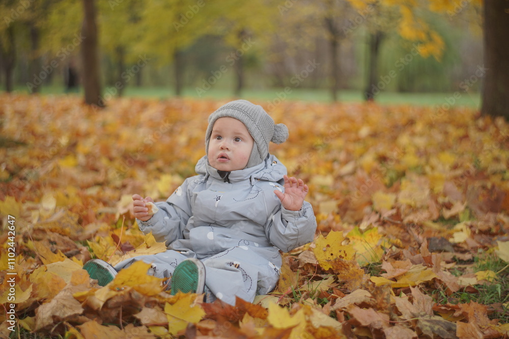 Little boy playing in autumn park. Child on yellow fallen leaves on a sunny autumn day. Little boy playing in autumn park. Child on yellow fallen leaves on a sunny autumn day.