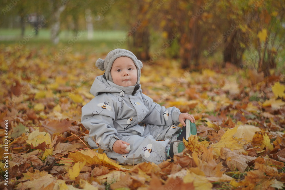 Little boy playing in autumn park. Child on yellow fallen leaves on a sunny autumn day. Little boy playing in autumn park. Child on yellow fallen leaves on a sunny autumn day.