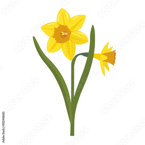 Elegant daffodil icon flat on white isolated background, vector design.