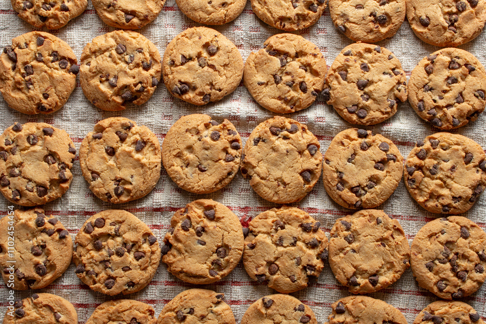 A top down view of a layer of commercially made cookies, as a background.