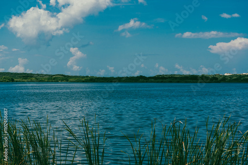 Landscape with a view of Swan Lake in Puerto Colombia, Barranquilla.