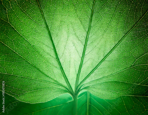 soft light shining through transparent leaves, creating a beautiful aura