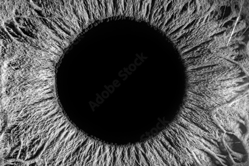 Extreme Macro Black and White Photography of a Human Eye Showcasing Dilated Pupil and Intricate Iris Textures and Unique Patterns photo