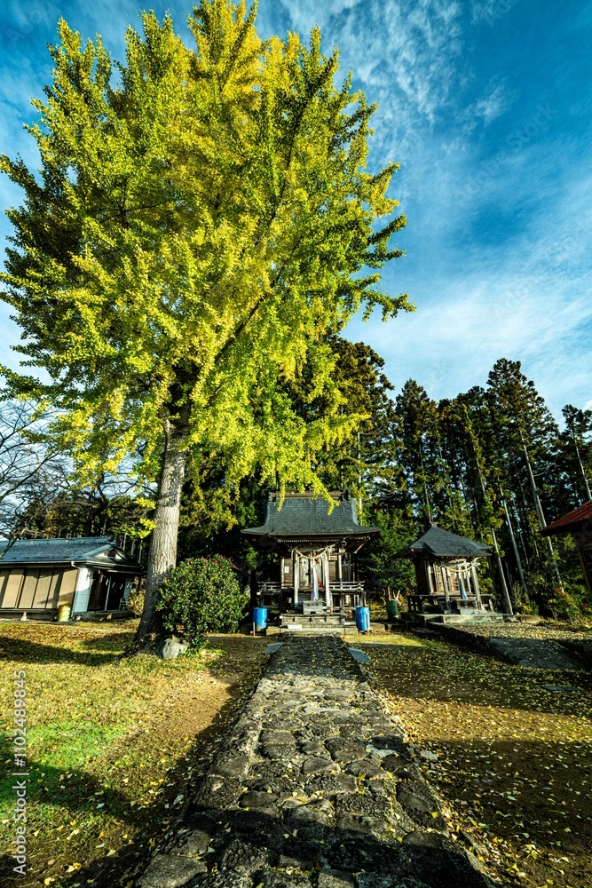 Obraz premium 里山の日の出