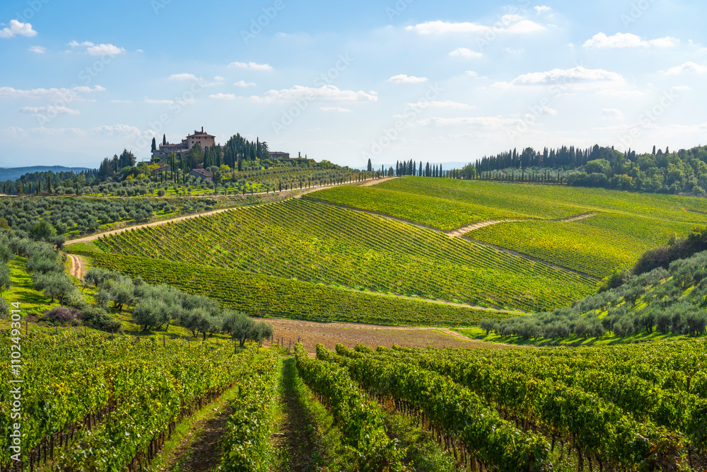 Radda in Chianti vineyards landscape. Tuscany, Italy Radda in Chianti vineyards landscape. Tuscany, Italy