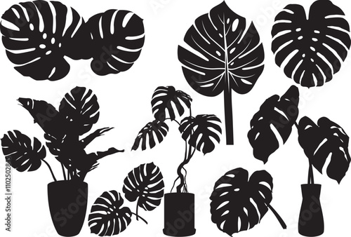 Monstera svg, Monstera Leaf SVG cutting file, monstera outline, monstera plant svg, tropical leaves svg, monstera silhouette
