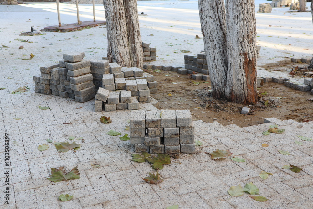 Obraz premium Paving Stones and Trees Placed on a Busy Construction Site Under Development and Renovation