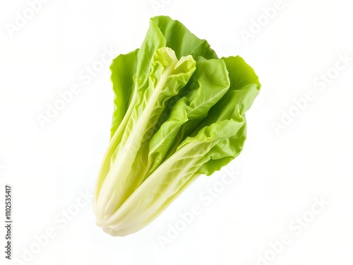  leafy lettuce on a white background with a white background. photo