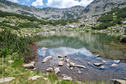 Summer view of Pirin Mountain around Banderitsa River, Bulgaria photo