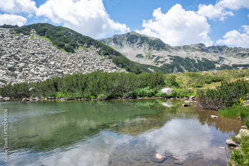 Summer view of Pirin Mountain around Banderitsa River, Bulgaria photo