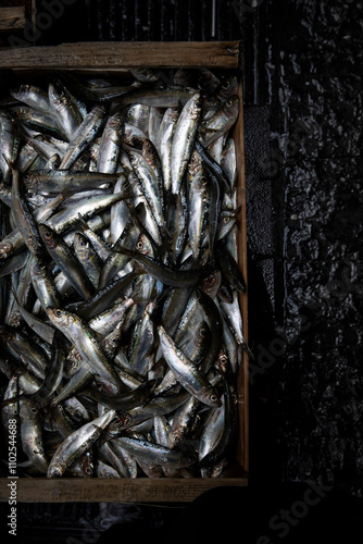 A box full of fresh anchovies, over the sidewalk. Overhear look. Moody look. photo