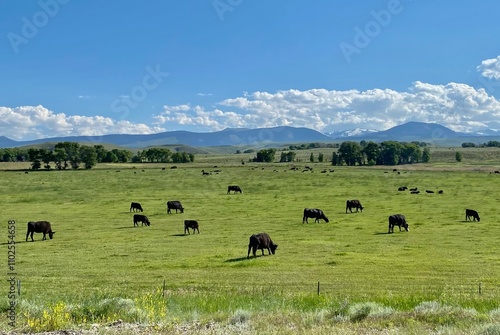 Wyoming Ranching