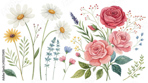 Delicate Daisy and Rose Arrangement on White Background, daisy, rose, delicate